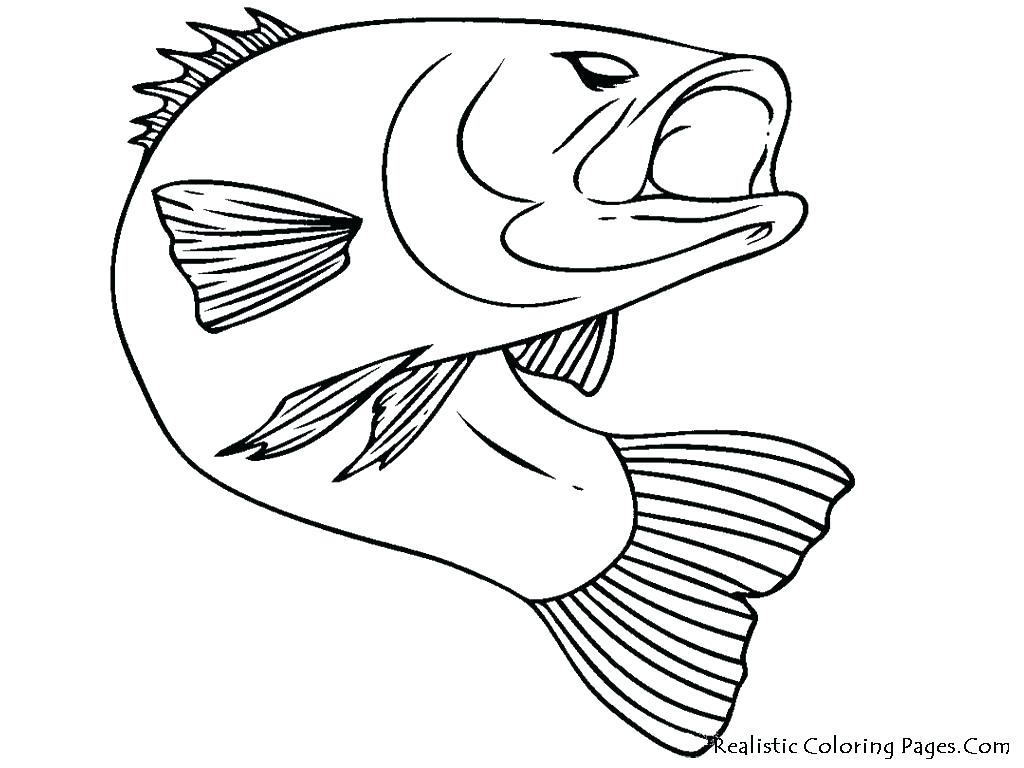 1024x768 Coloring Page Playing Guitar Girl Bunny The Double Bass Pages Boat