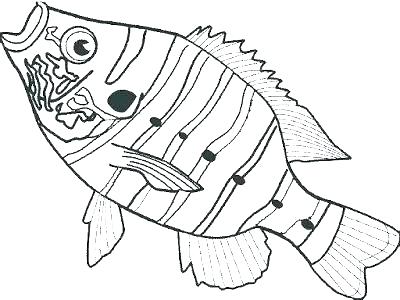 400x300 Double Bass Colouring Page Coloring Pages Large Size Of Free Fish