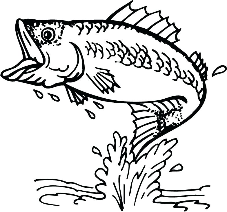 783x733 Free Bass Outline Download Free Clip Art Free Clip Art On Double