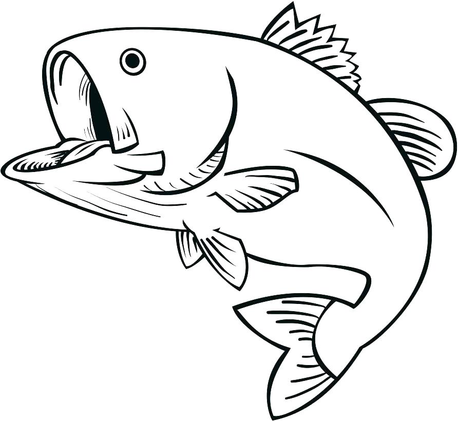 892x820 Bass Coloring Pages Bass Coloring Pages Double Bass Coloring Pages