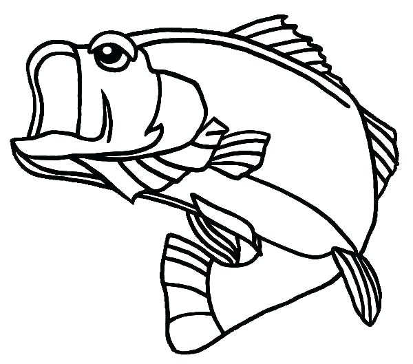 600x529 Bass Coloring Pages Bass Coloring Pages Fish Coloring Pages River