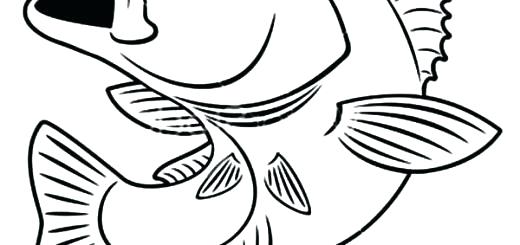 520x245 Bass Coloring Pages Bass Coloring Pages Good Coloring Pages Bass