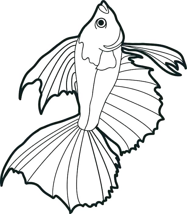 614x700 Bass Coloring Pages Bass Fish Coloring Pages Striped Bass Coloring