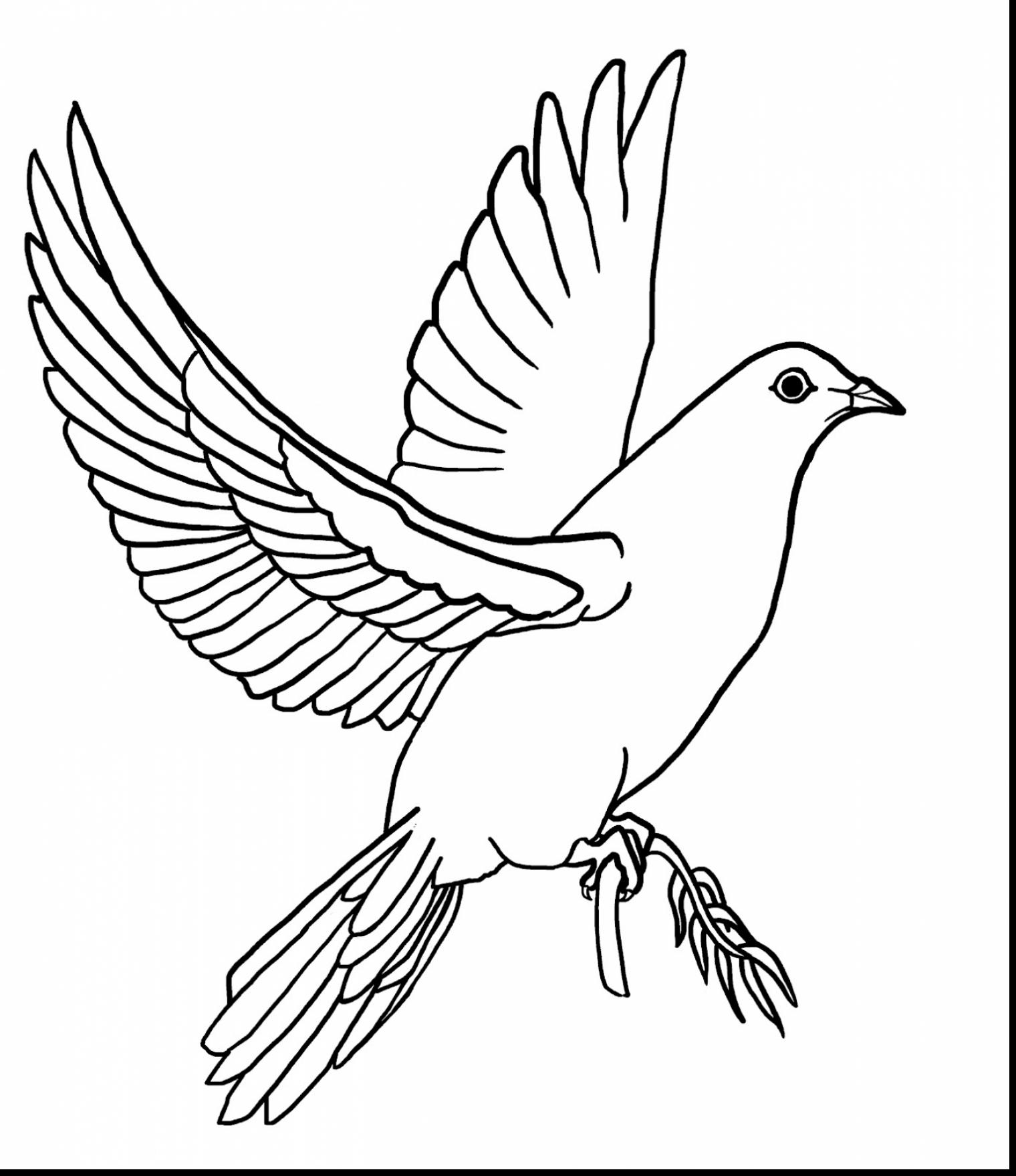 1520x1760 Dove Coloring Page