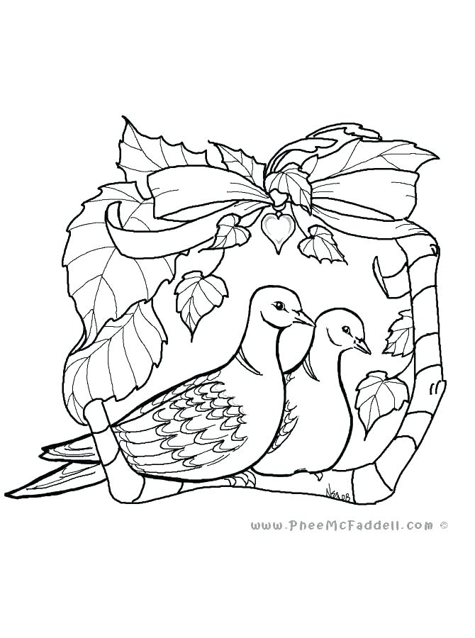 670x900 Dove Coloring Page Dove Coloring Page Dove Coloring Pages Dove