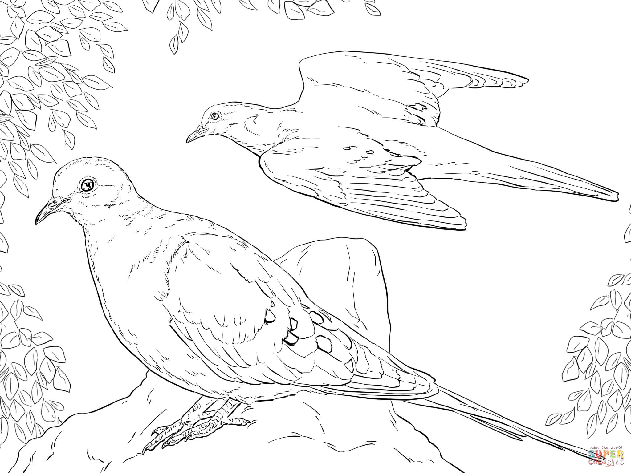 2048x1536 Doves Coloring Pages Free Coloring Pages Dove Coloring Page Image