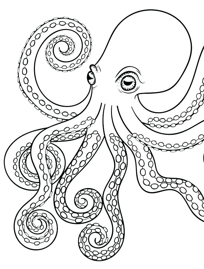 700x924 Octopus Coloring Page Colouring Picture Of Octopus Octopus
