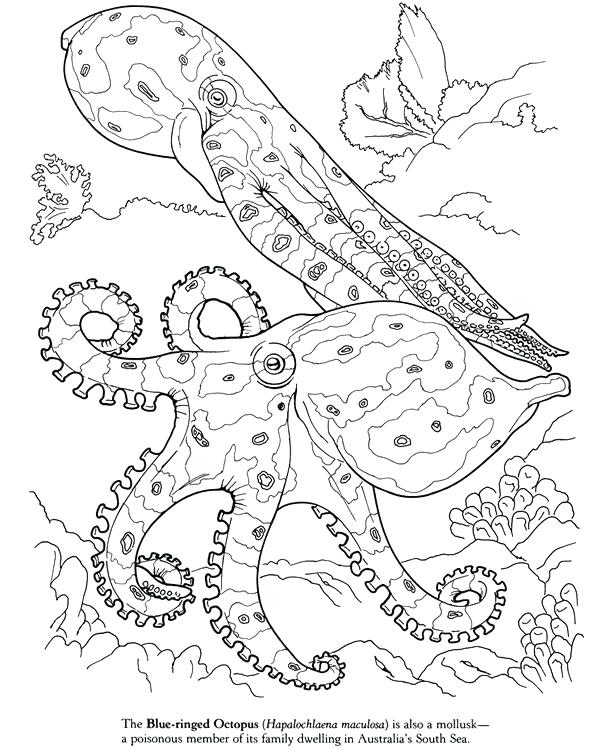 601x750 Under The Sea Peaceful And Free Adult Coloring Pages Including