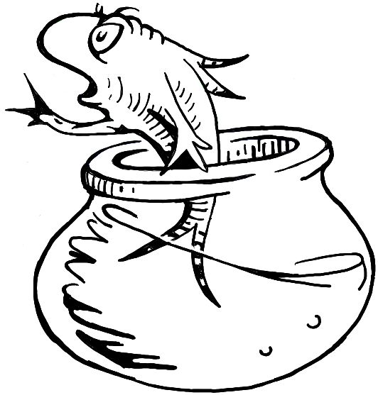532x557 23 Best Dr. Seuss Images On Classroom Ideas, Costumes