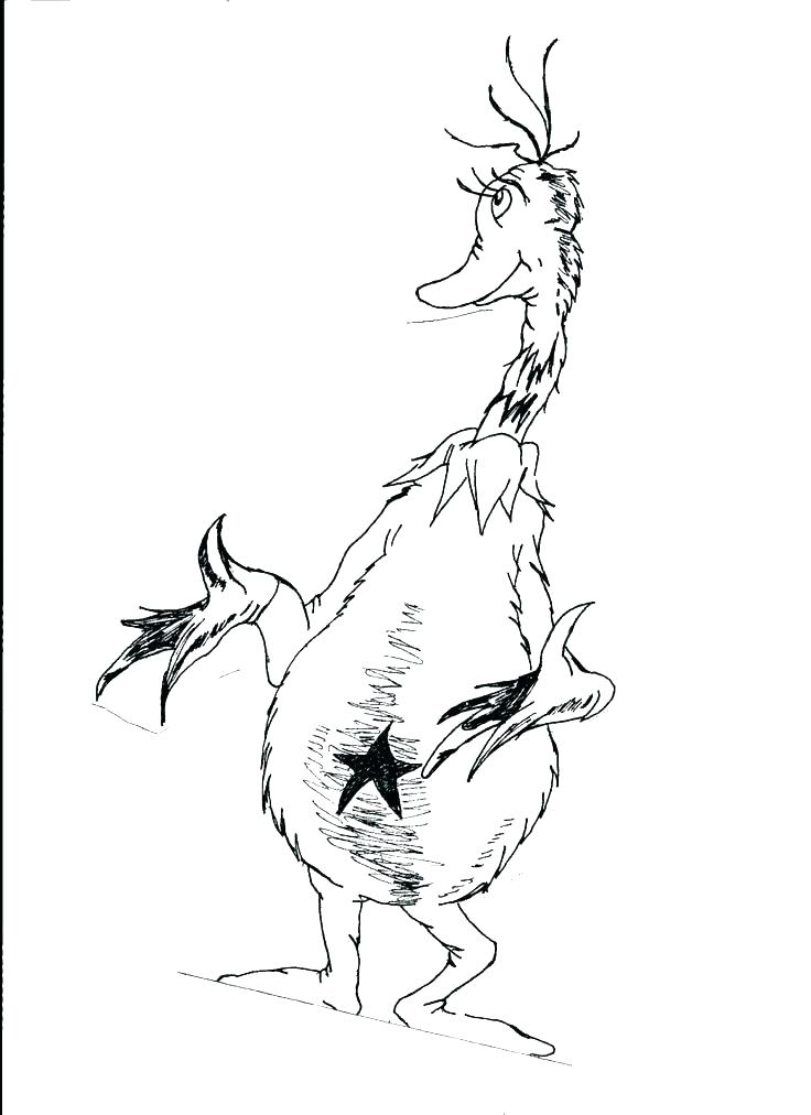 736x1012 Fish Coloring Pages 2 Coloring Pages For Coloring Pages Coloring