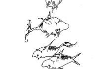 200x140 Dr Seuss Coloring Pages One Fish Two Fish Dr Seuss One Fish Two