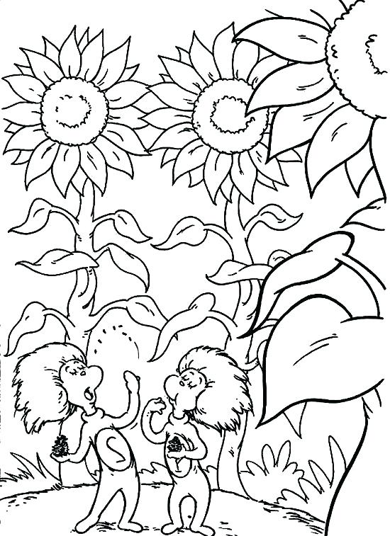 550x757 Dr Seuss Hat Printable