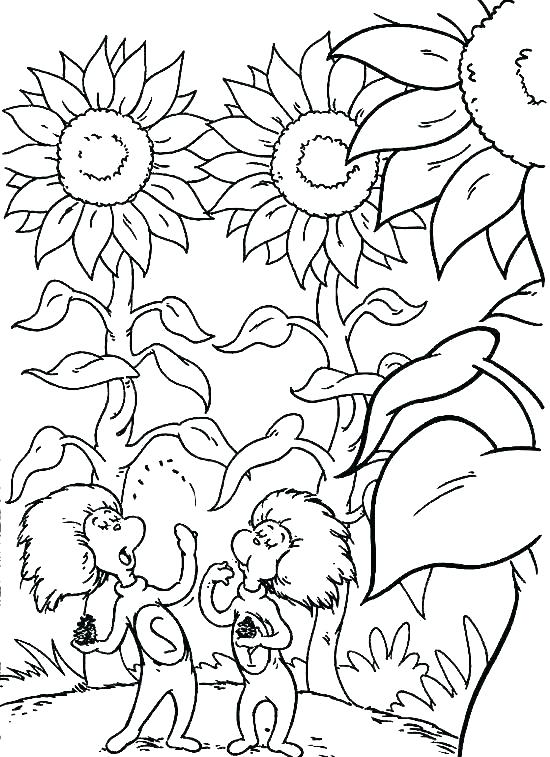 550x757 Dr Seuss Free Printable Coloring Pages Shippa.co