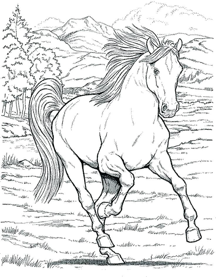 736x945 Free Draft Horse Coloring Pages Big Fuhrer Von