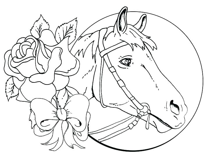 736x551 Horse Print Wallpaper Free Horse Coloring Pages 7 Detail