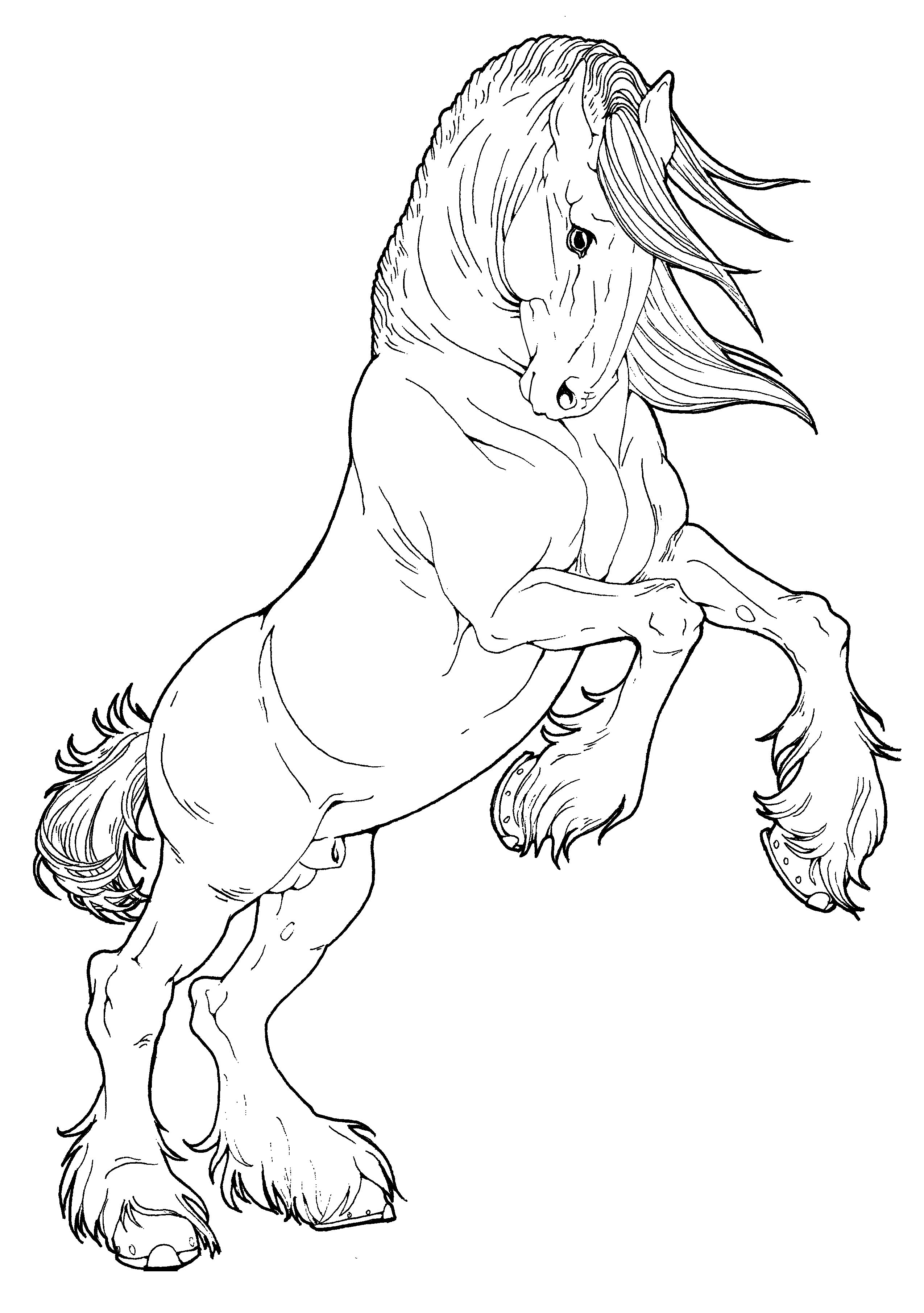 2549x3622 Draft Horse Sketch This Would Be An Awesome Tatt! Kolorowanki