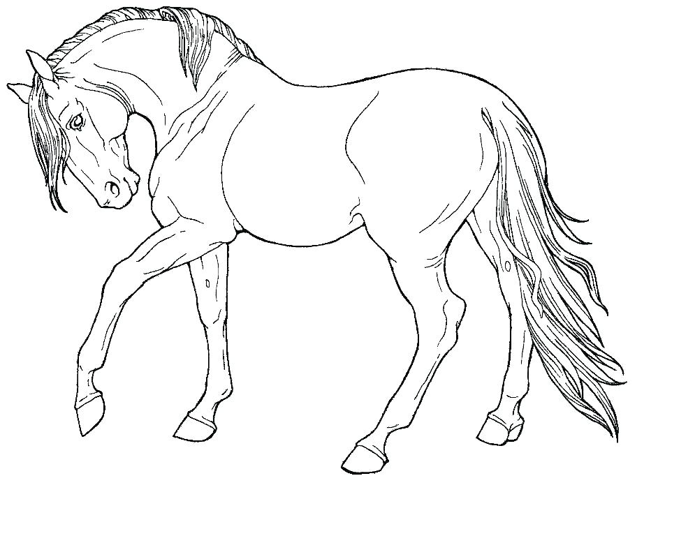 995x768 Free Draft Horse Coloring Pages