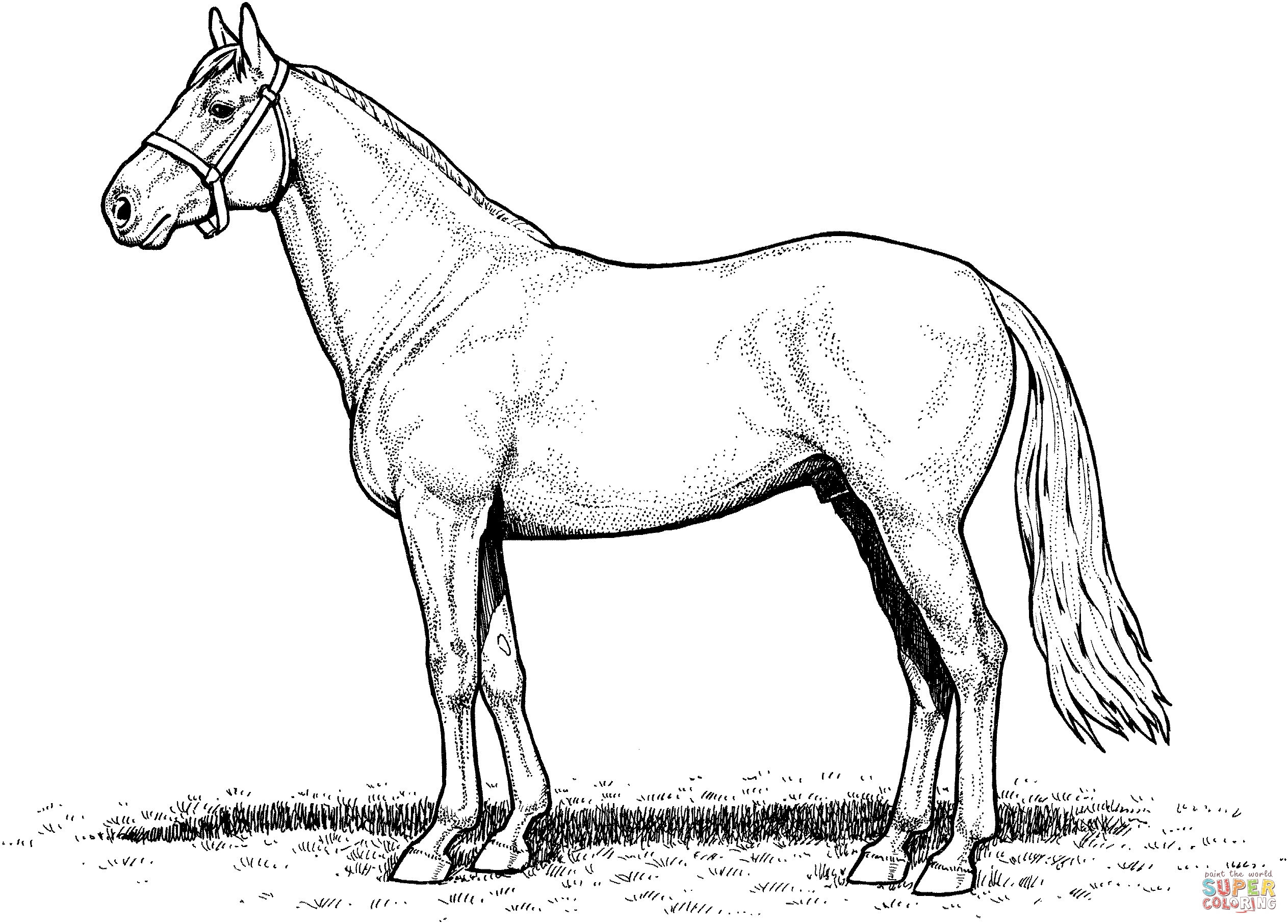 2526x1812 Coloring Pages Horses Lovely Draft Horse Coloring Pages Realistic