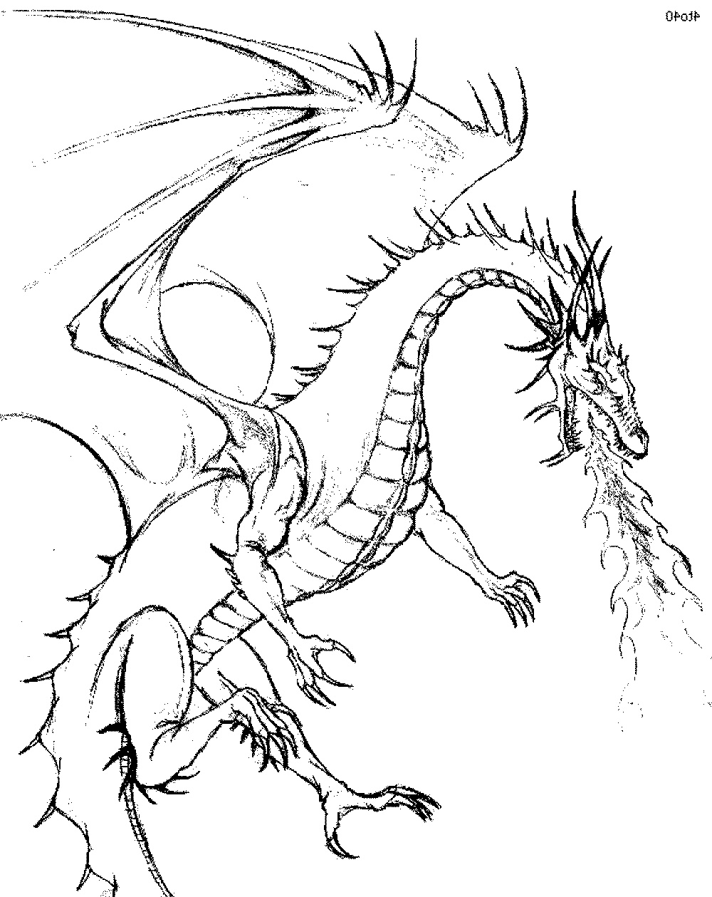 1000x1259 Dragon Free Adult Coloring Pages Collection Coloring Sheets