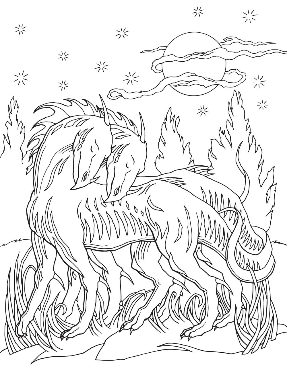 1000x1294 Adult Coloring Book Dragon World