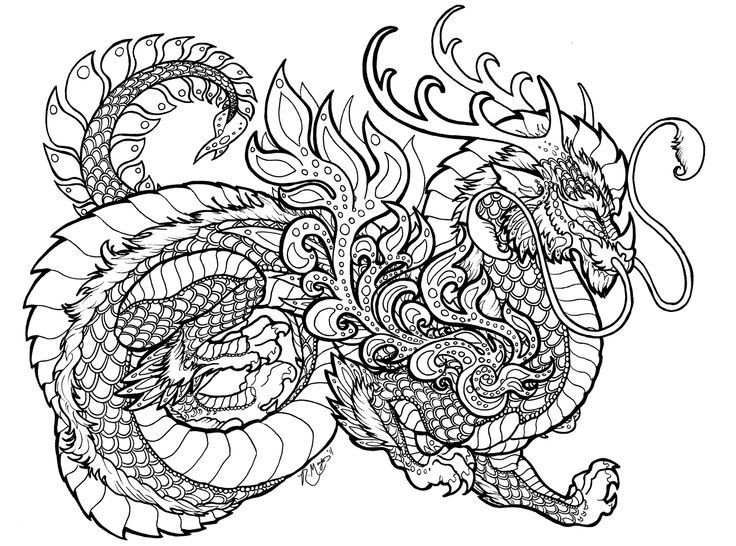 736x546 Dragon Coloring Pages For Adults Printable Places To Visit