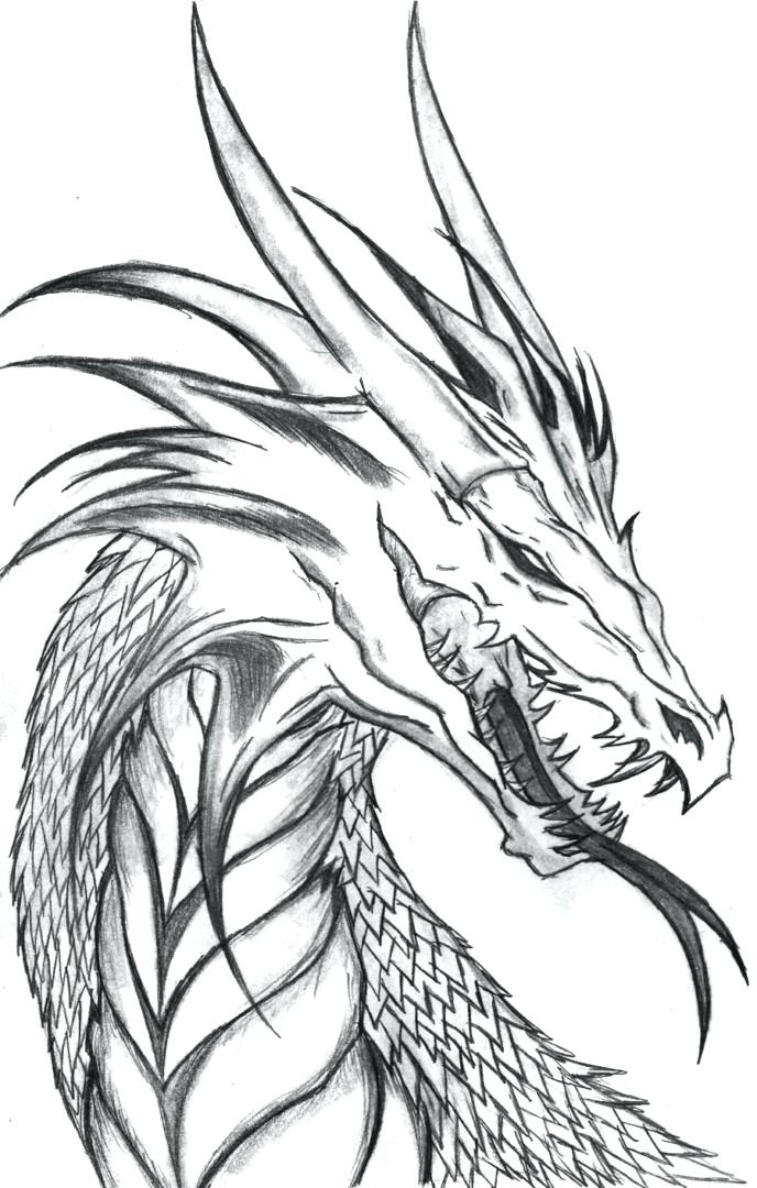 688x1080 Idea Dragon Art Coloring Pages And Trend Coloring Pages Of Dragons