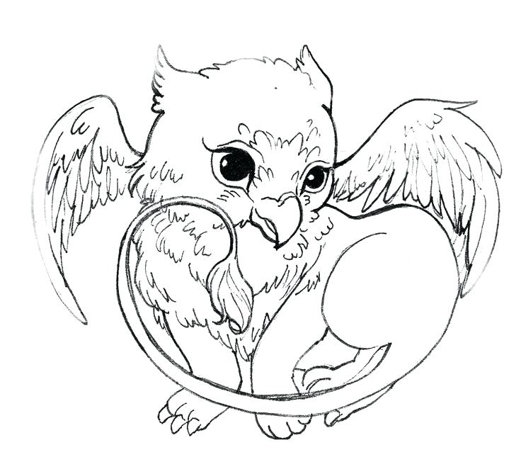736x638 Dragon Coloring Pages Dragon Coloring Pages Hard Dragon Coloring