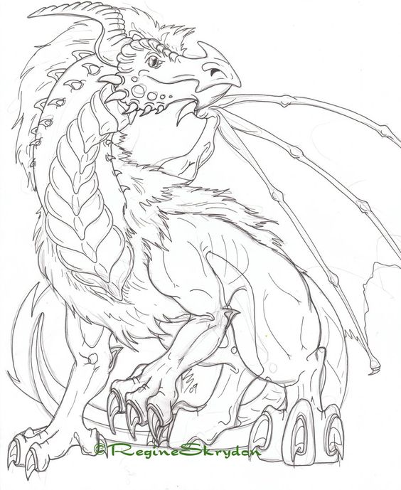 564x689 Peachy Detailed Coloring Pages For Adults Free Printable Advanced