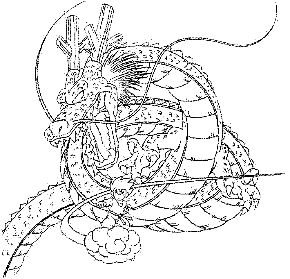 1000x960 Dragon Colouring Pages For Adults