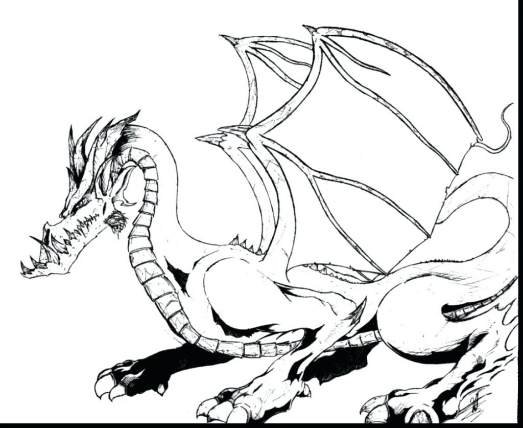 1024x837 Realistic Dragon Head Coloring Pages