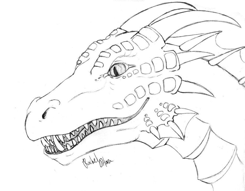 1013x788 Detailed Coloring Pages For Adults Detailed Dragon Colouring