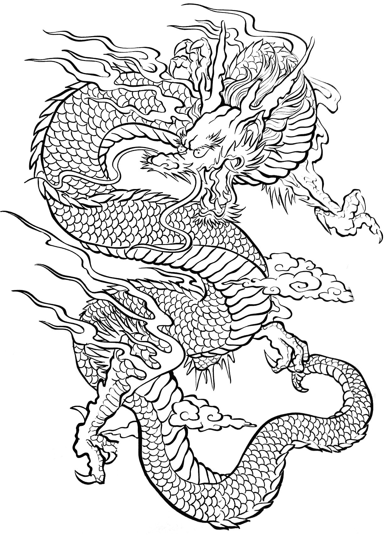1236x1701 Tattoo Dragon