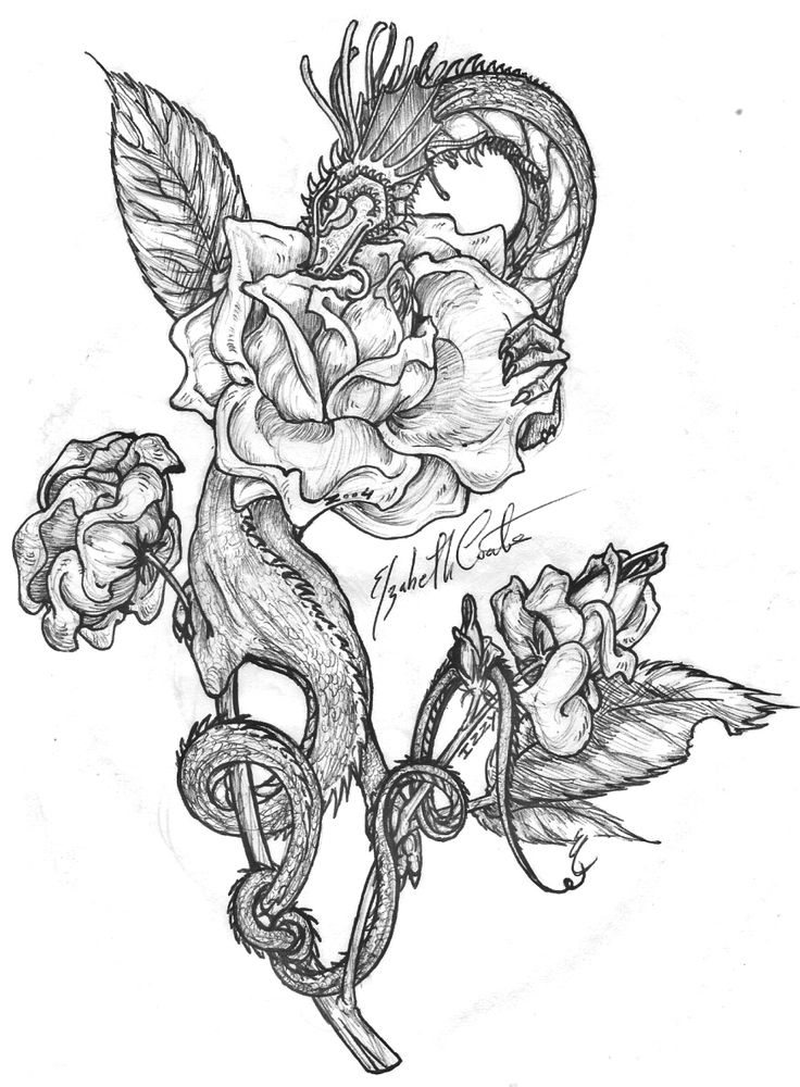 736x1000 558 Best Dragons To Color Images On Coloring Books