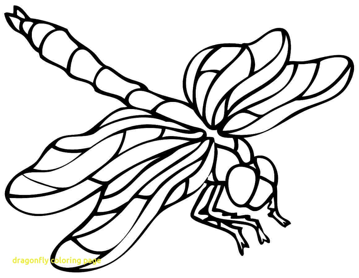 1161x897 Dragonfly Coloring Pages For Adults Wagashiya