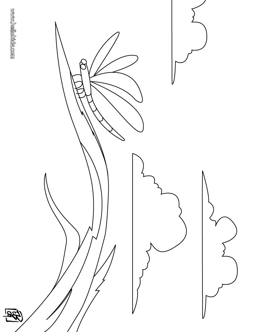 820x1060 Innovative Dragonfly Coloring Page Pages Hello