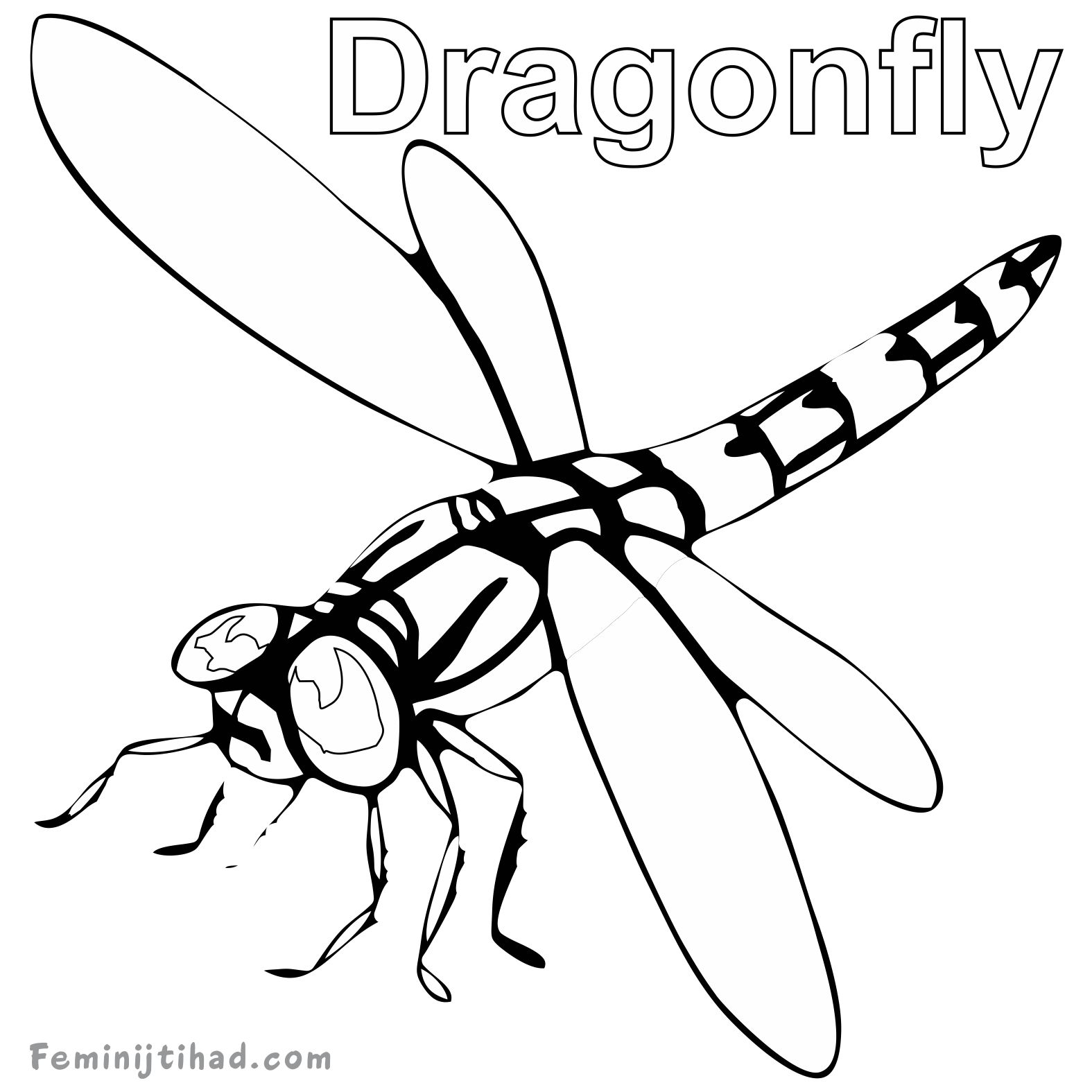1575x1575 Dragonfly Coloring Page 9