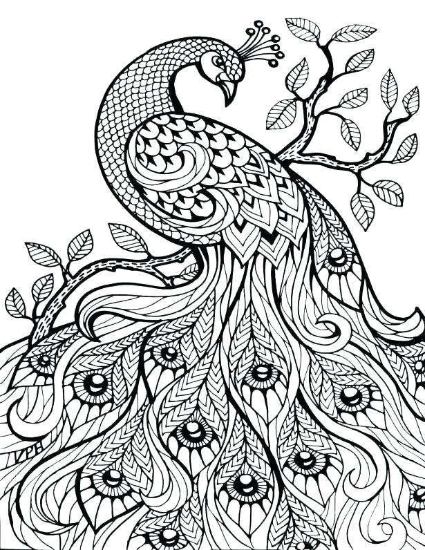 615x796 Dragonfly Coloring Page Fantastic Animals Ng Book Ng Book Animals