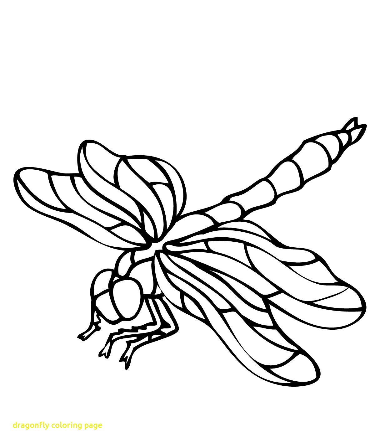 1200x1415 Dragonfly Coloring Pages For Adults Acpra