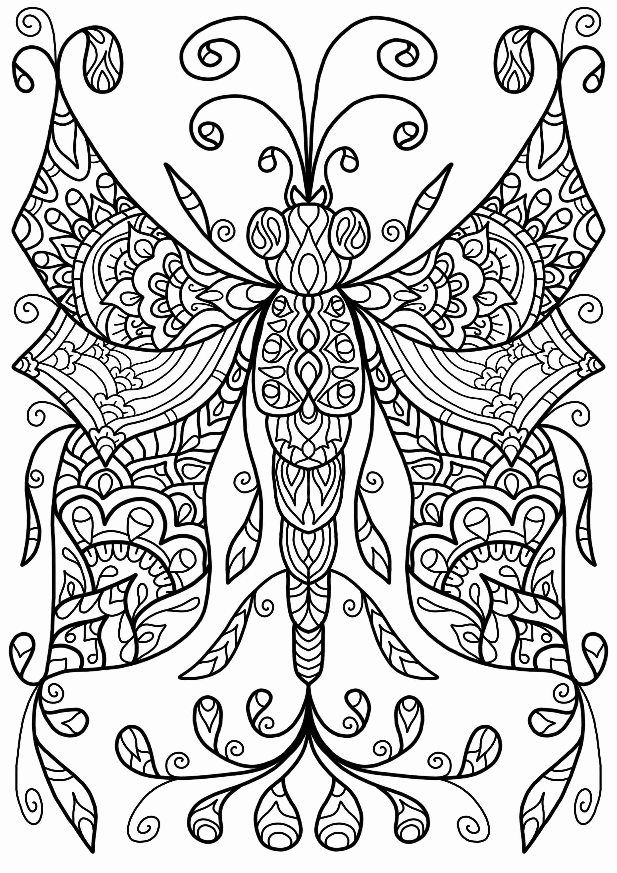 2480x3508 Dragonfly Coloring Pages For Adults Olegratiy