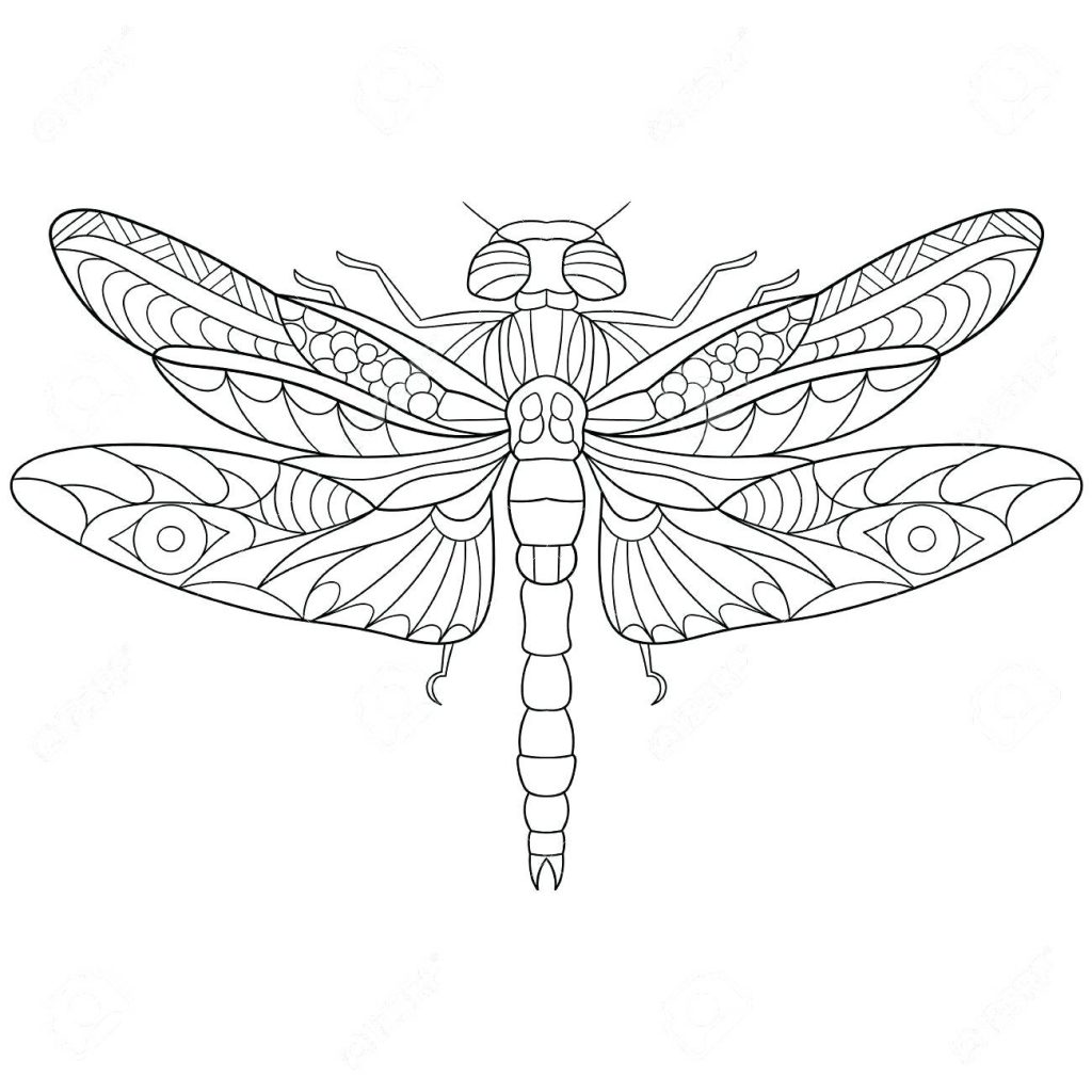 1024x1024 Coloring Pages ~ Dragonfly Coloring Page Stylized Cartoon Insect