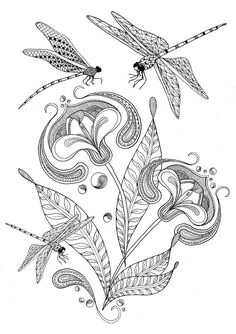 236x334 Butterflies Amp Dragonflies Free Coloring Page Download For Adults