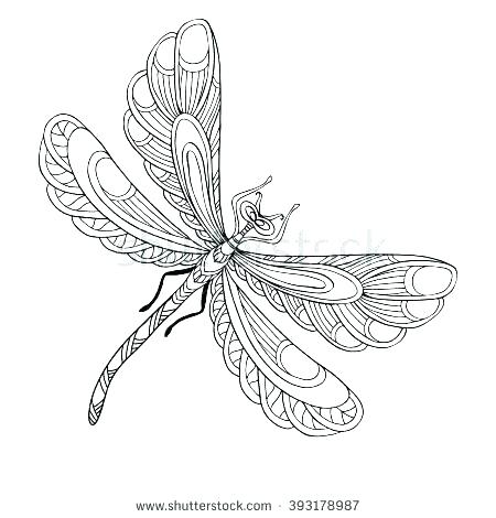 450x470 Dragonfly Printable Coloring Pages Free Printable Dragonfly