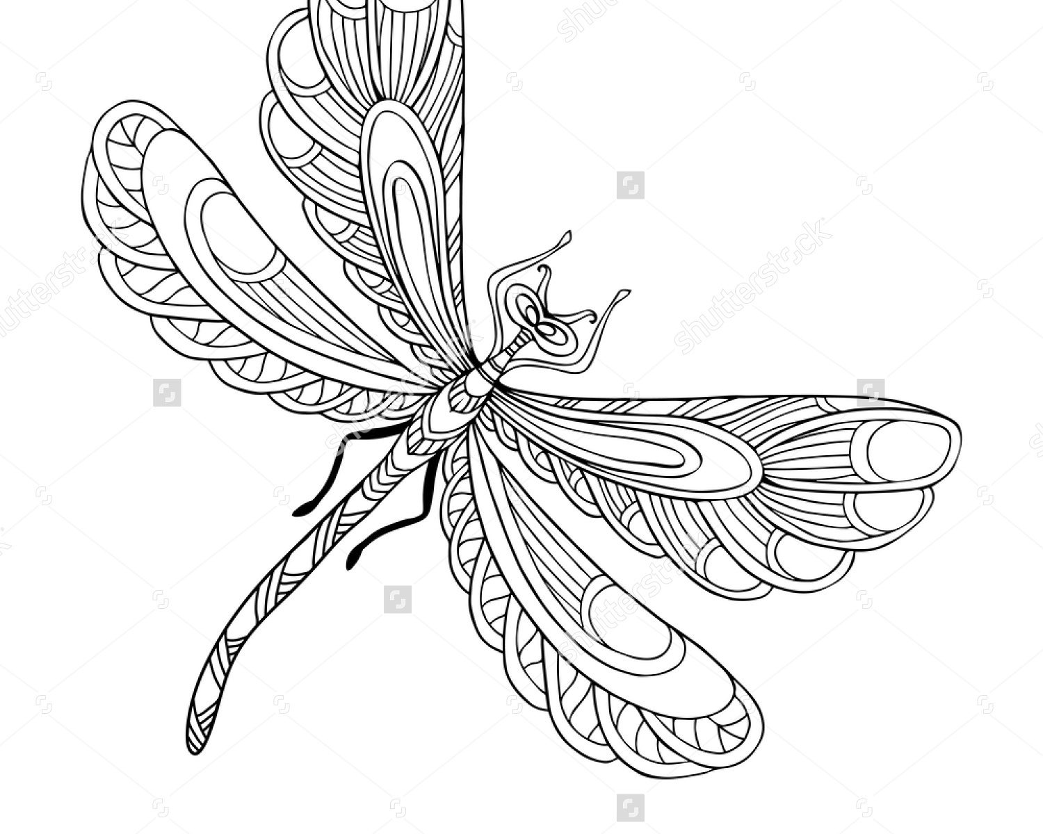 1500x1200 Luxury Dragonfly Coloring Page For Your Seasonal Fantastic Pages