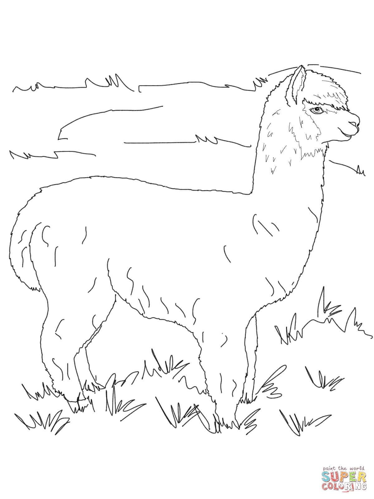1200x1600 Timely Llama Holiday Drama Coloring Pages Alpaca Free Misc Ideas