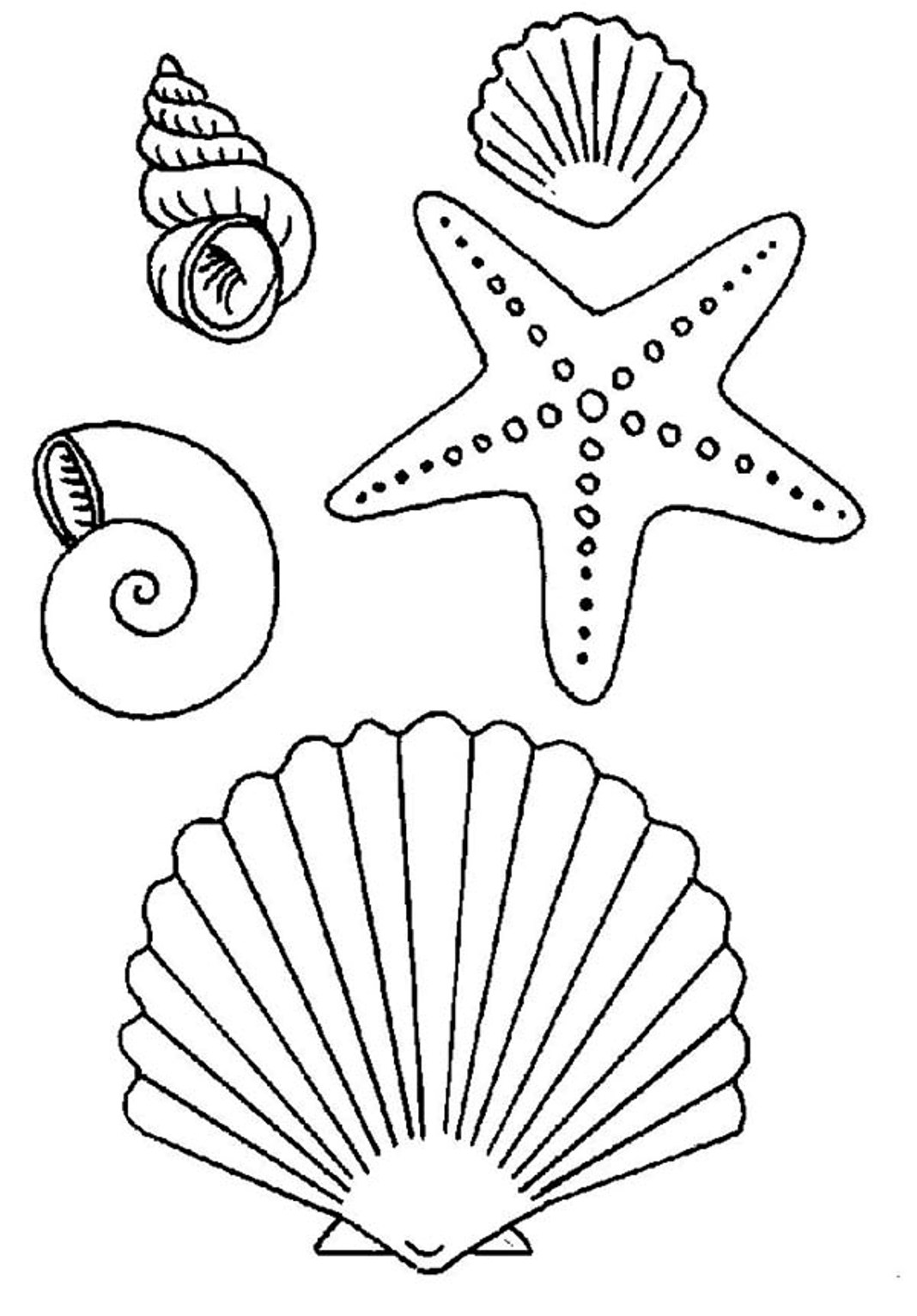 1068x1533 Images For Gt Simple Seashell Drawings Tattoos I Want