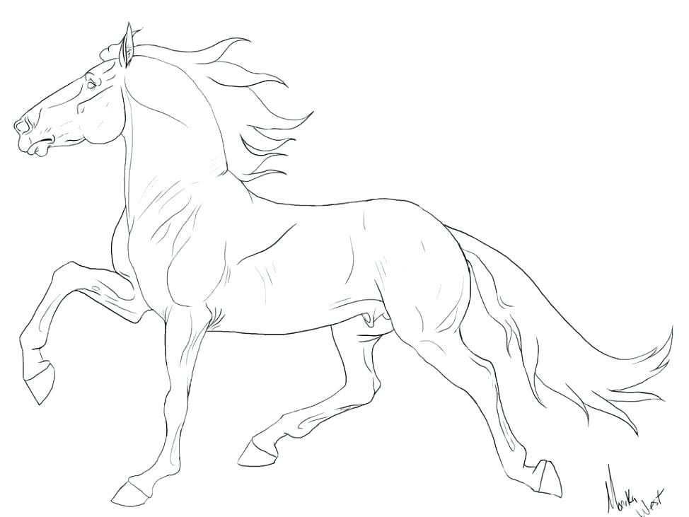974x731 Breyer Horse Coloring Pages Breyer Horse Coloring Sheets Www