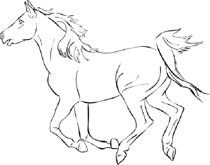 800x629 Coloring Pages For Adults Horse Mustang Color Page Decor Merida