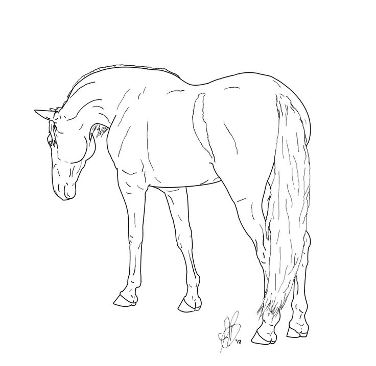 Dressage Horse Coloring Pages