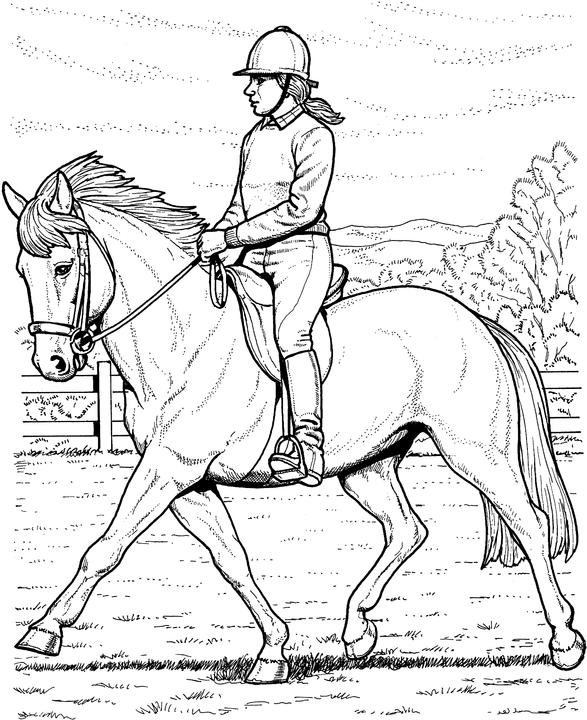 587x720 Free Horse Coloring Pages