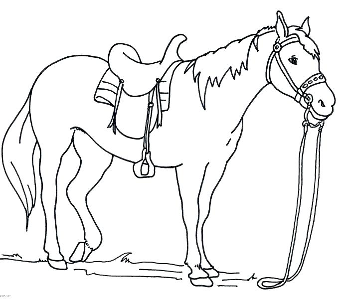 678x600 Horse Coloring Pages For Kids